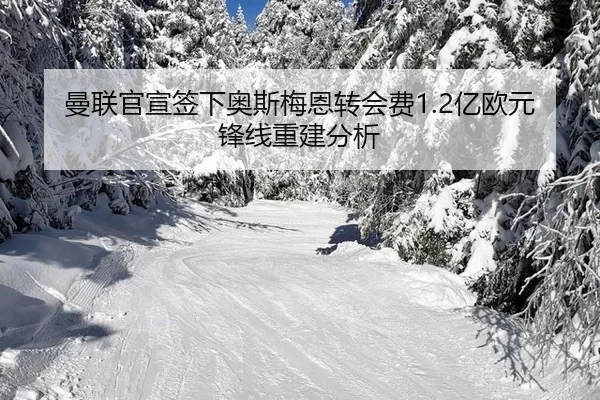 man-lian-guan-xuan-qian-xia-ao-si-mei-en-zhuan-hui-fei-yi-ou-yuan-feng-xian-chong-jian-fen-xi-2-625.jpg